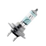H7 Night Tech Bulb 55w 3600K, Single Pack